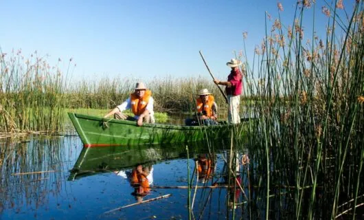 Travelers enjoy canoe ride through tall reeds
