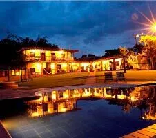 Bosque del Saman at night