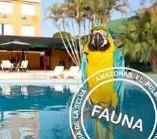 colorful bird in front of hotel in the amazon