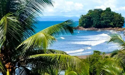 Colombia beach seen through fronds of tropical trees