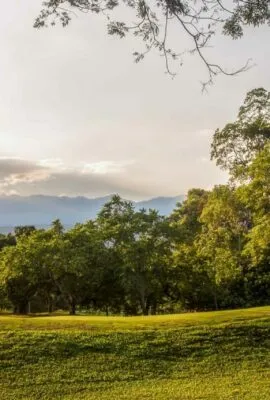 Beautiful green golf course in Colombia