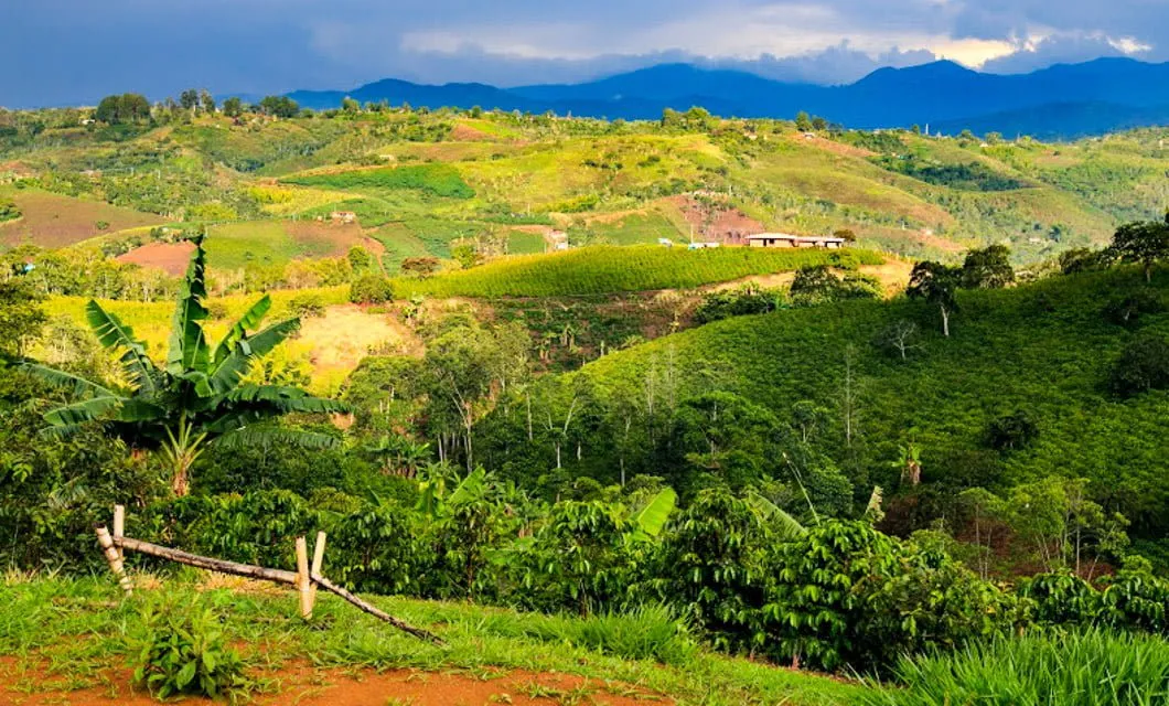 Rolling hills of Colombia