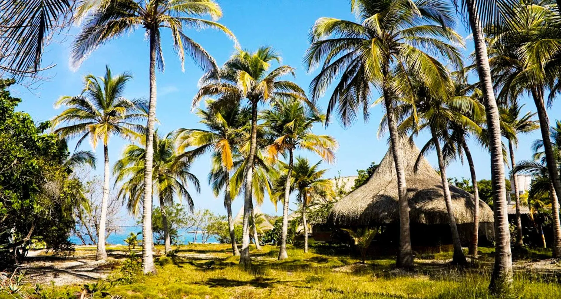 Small hut seen between palm trees