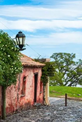 Beautiful home and flowers during Uruguay travel.