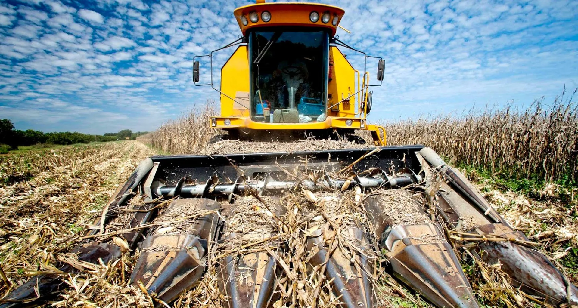 Corn harvester in Brazil
