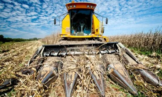 Corn harvester in Brazil