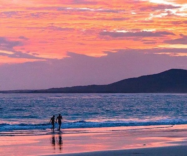 couple walking along the tropical beach