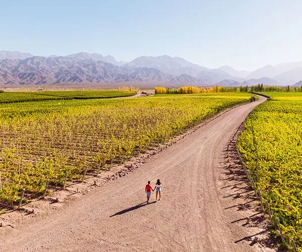 A couple experiences a Romantic buenos aires honeymoon in Argentina near a wine vineyard.