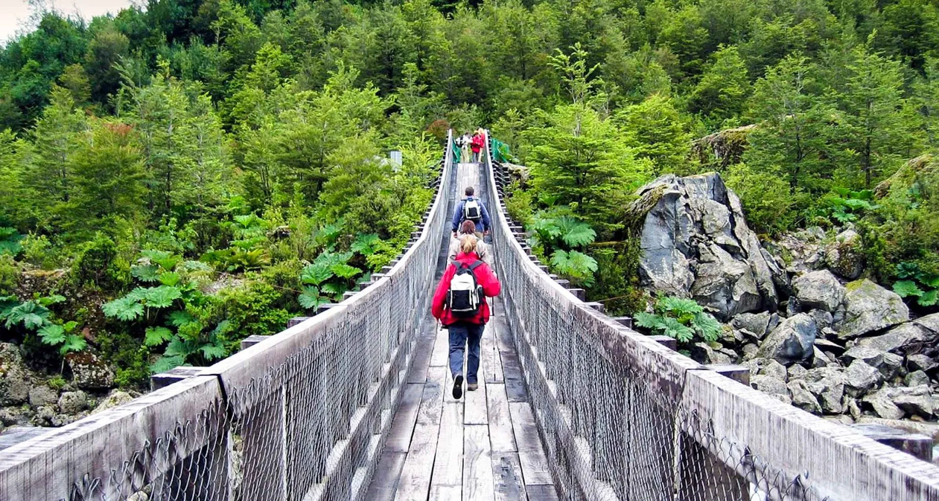 Hikers cross bridge into forest