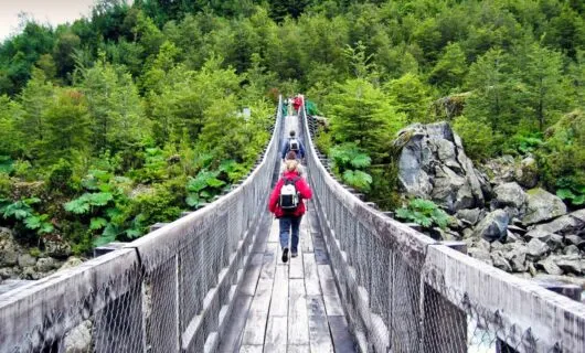 Hikers cross bridge into forest
