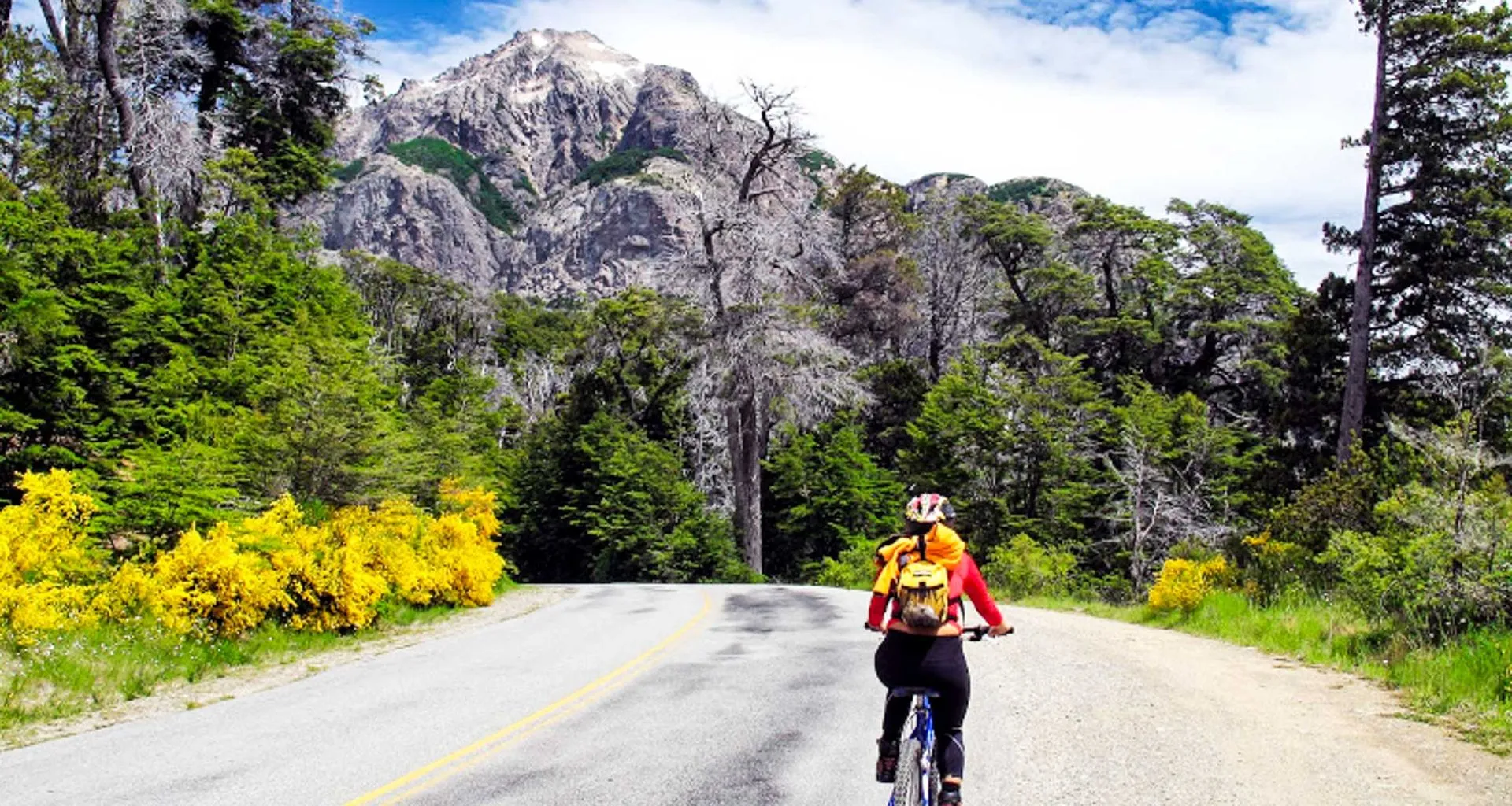 Cyclist rides down mountain road