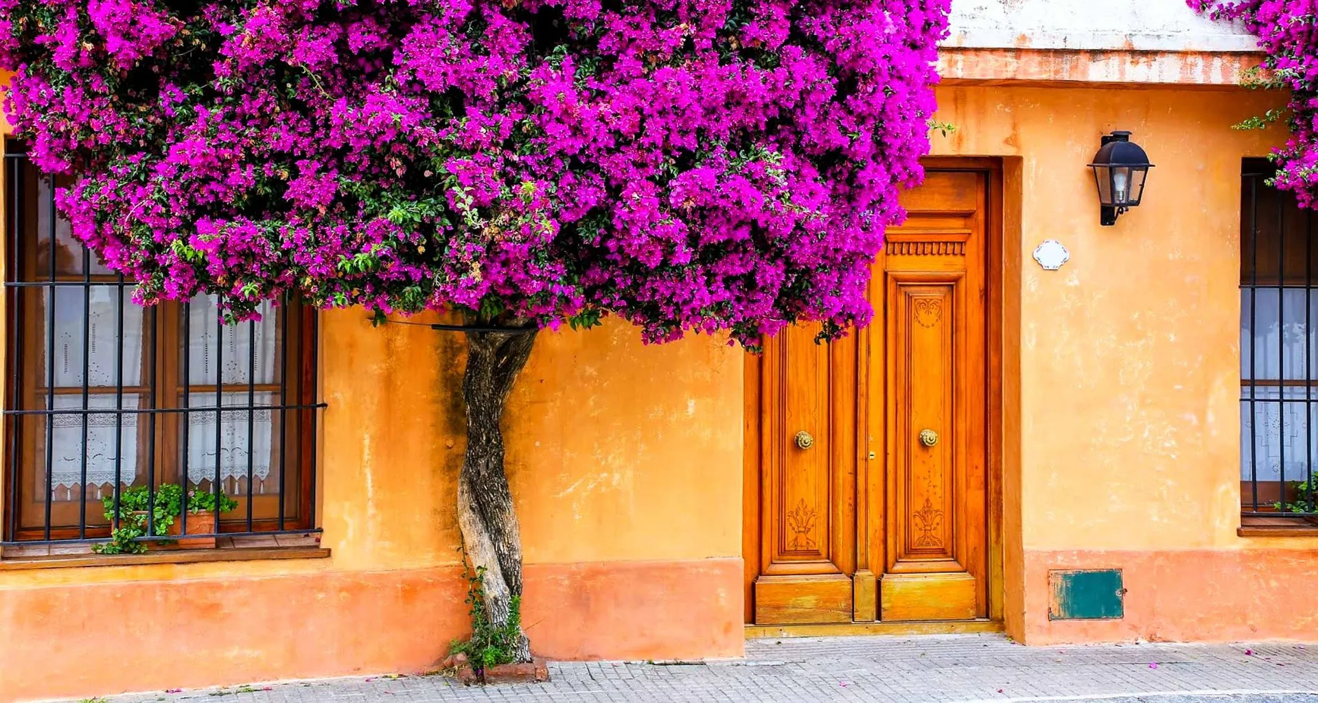 Purple tree outside of double door