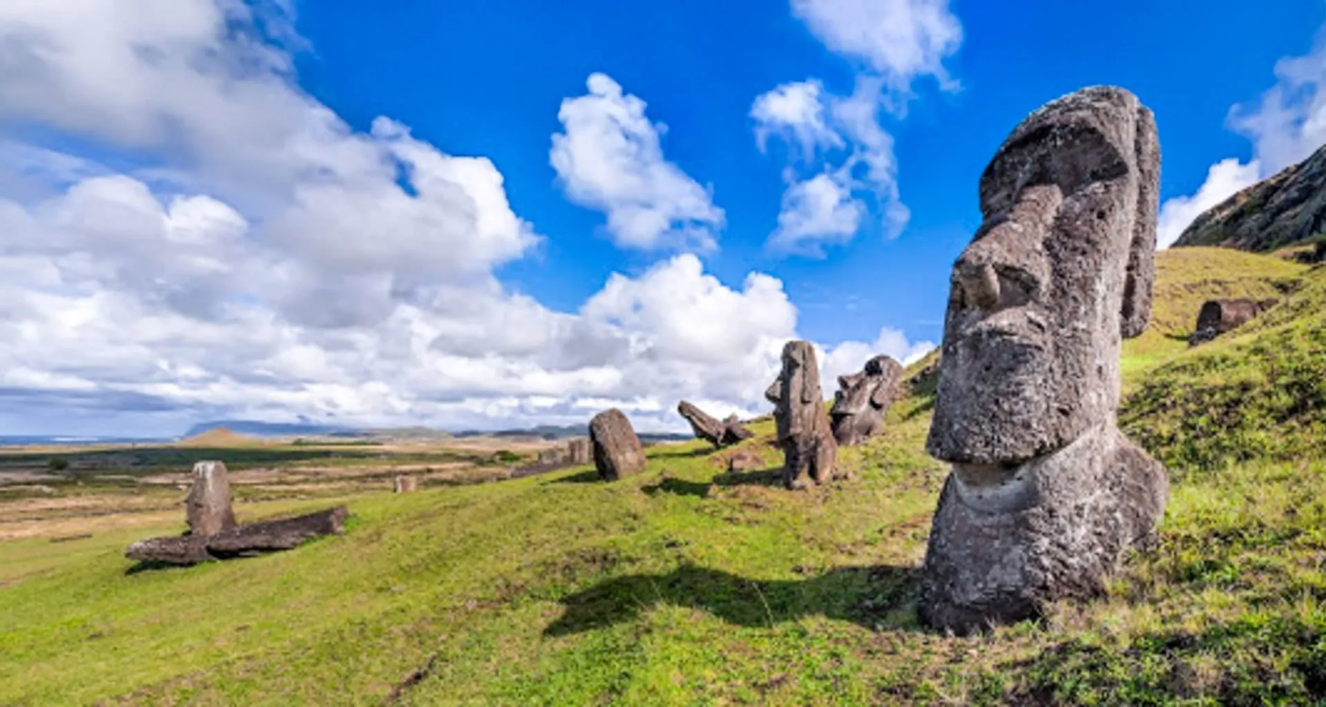 Easter Island statues on hillside