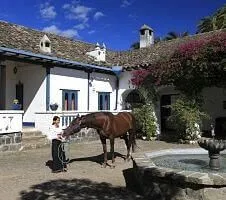horse and fountain outside of the hacienda