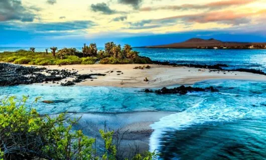 Ecuador island beach