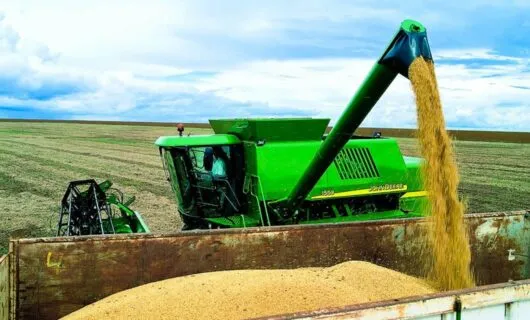 Farm machine ejects silage into large bin
