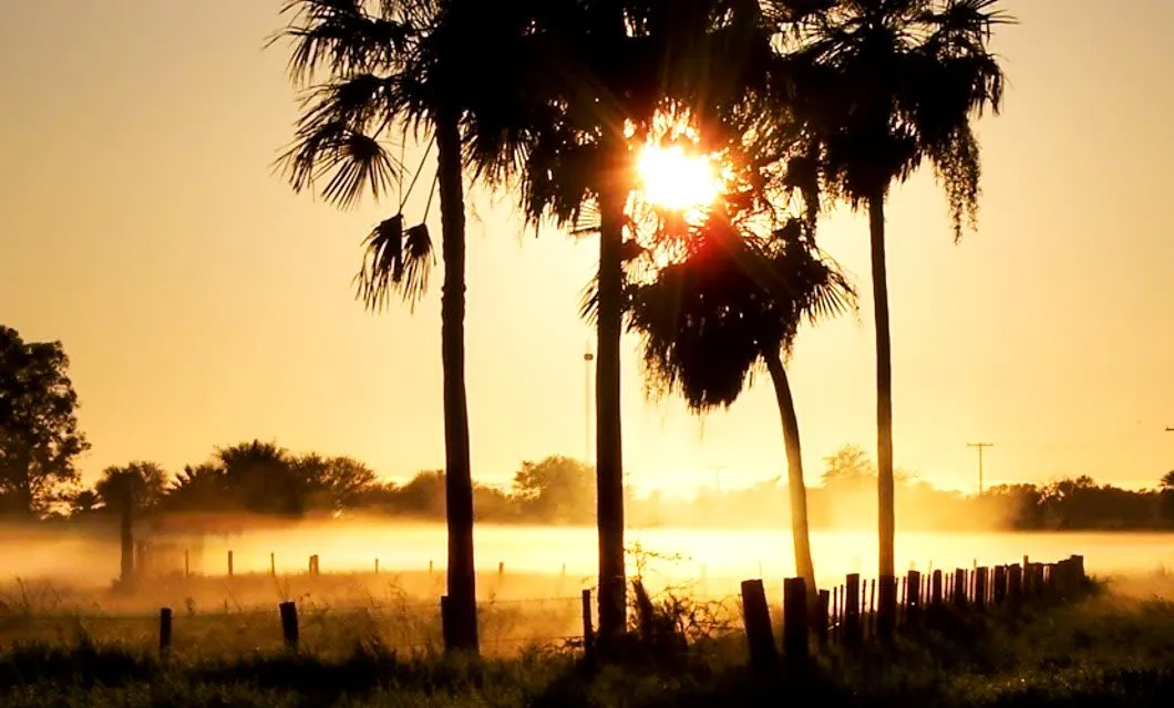 Foggy field and low sun in Paraguay