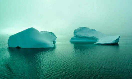Two small glaciers in foggy ocean