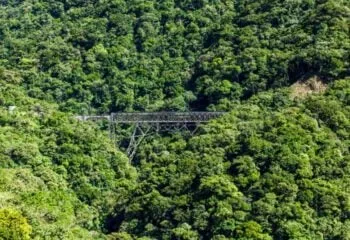 The bridge travelers cross on a Brazil train tour through the Atlantic Rainforest