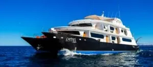 Petrel Galapagos Cruise Ship voyage