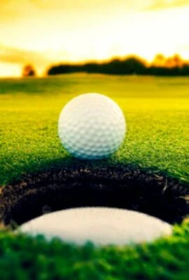 Golf Ball and hole at course