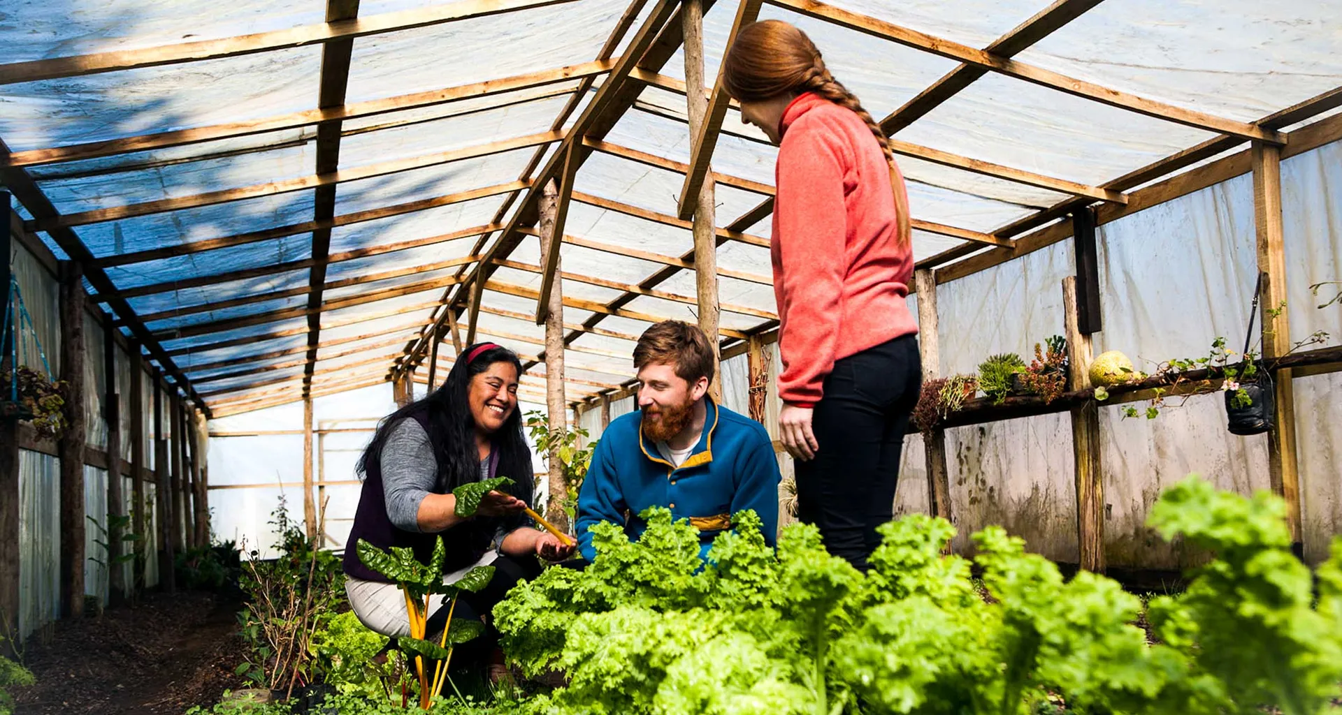 Three people in greenhouse