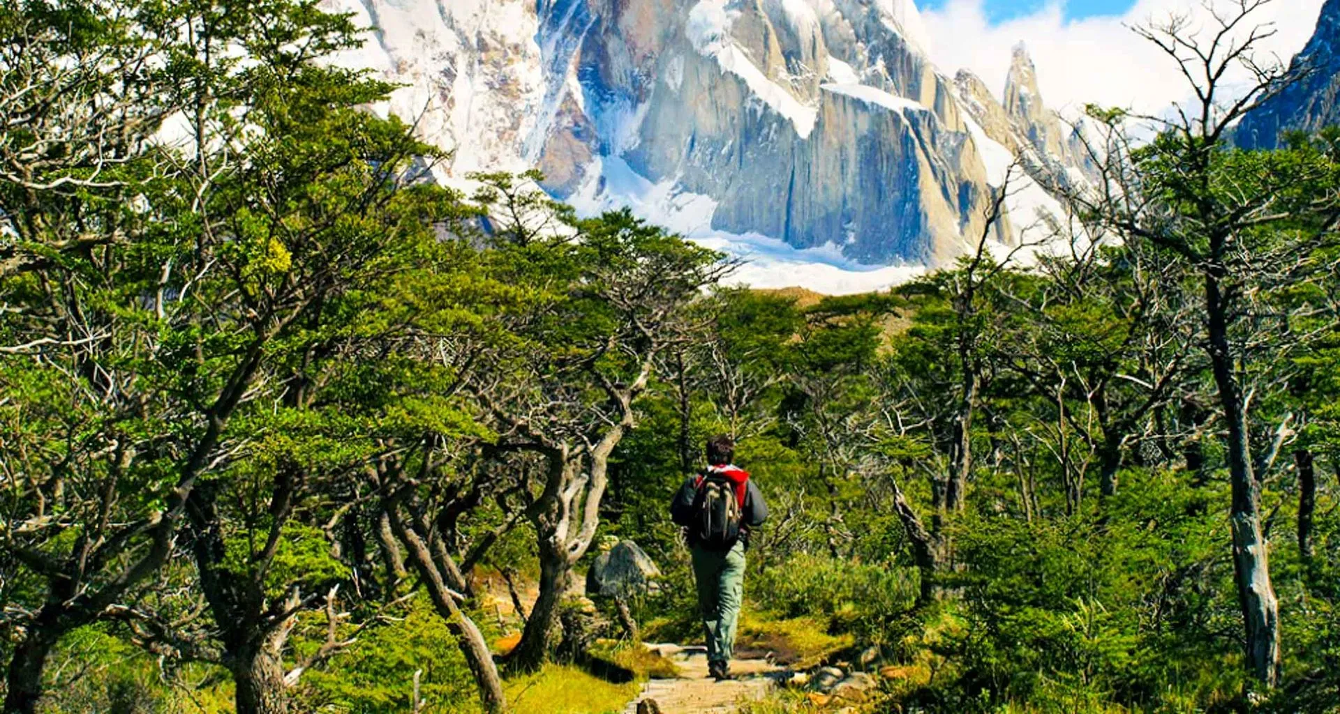 Hiker in forest of Patagonia valley
