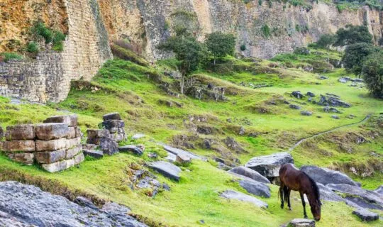 Horse outside ancient Peruvian ruins