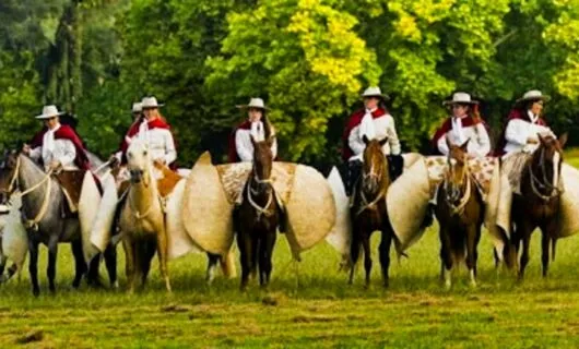 Horseback riders stand mounts in a line
