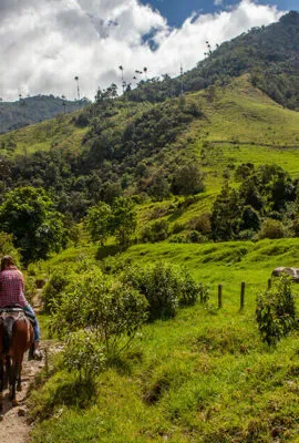 horseback riding in colombia