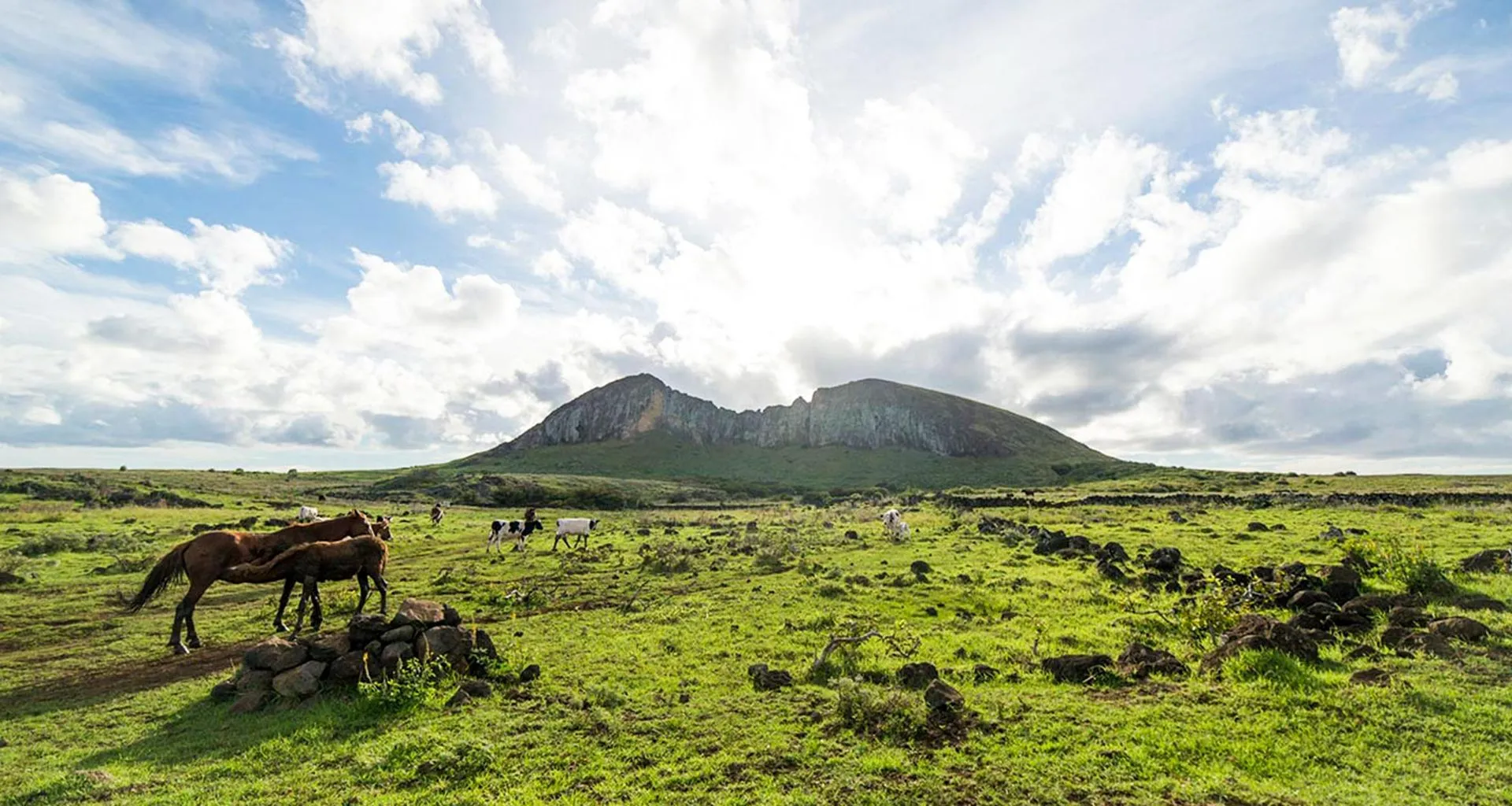 Horses graze in field near mountain