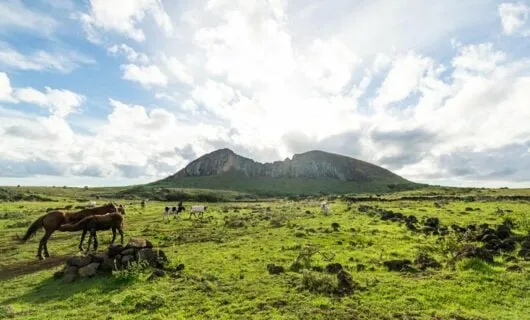 Horses graze in field near mountain