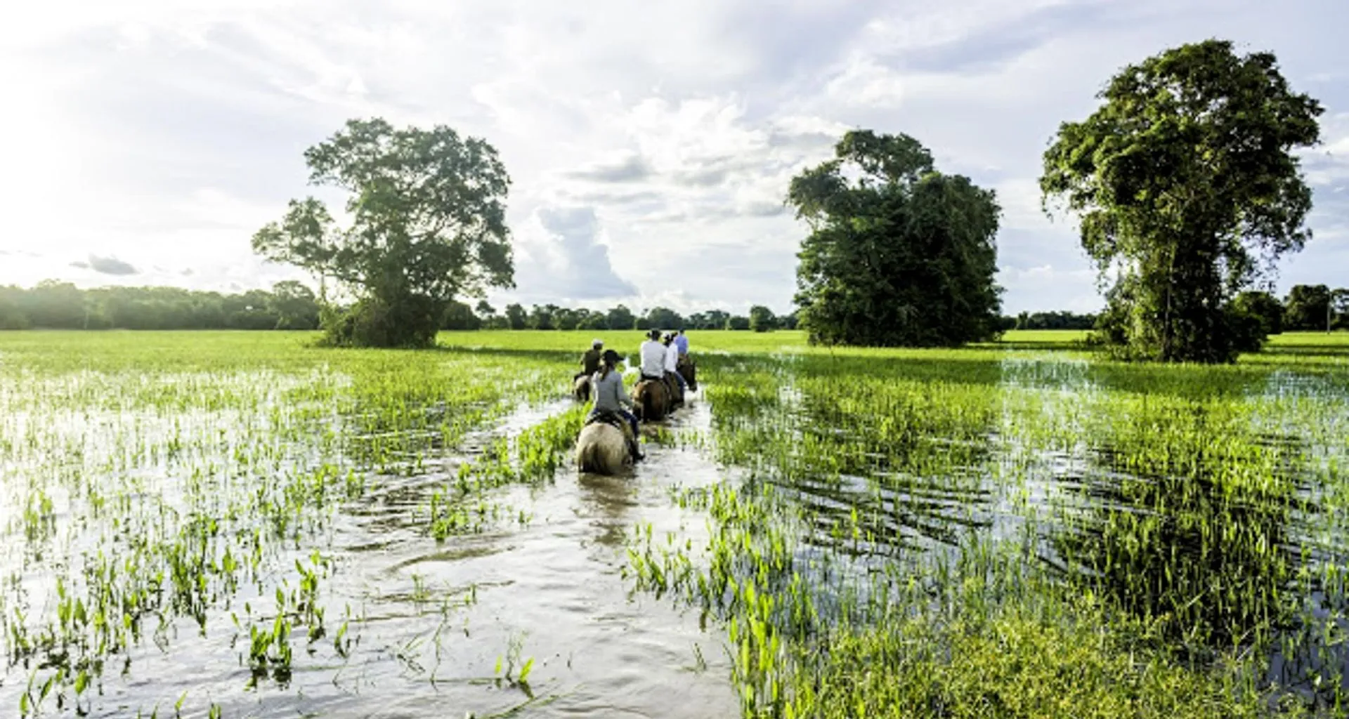 Travelers ride horses through Pantanal wetlands