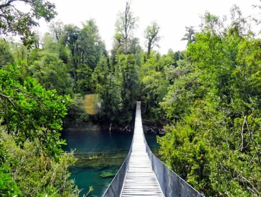 Bridge over river in Huilo-Huilo Reserve