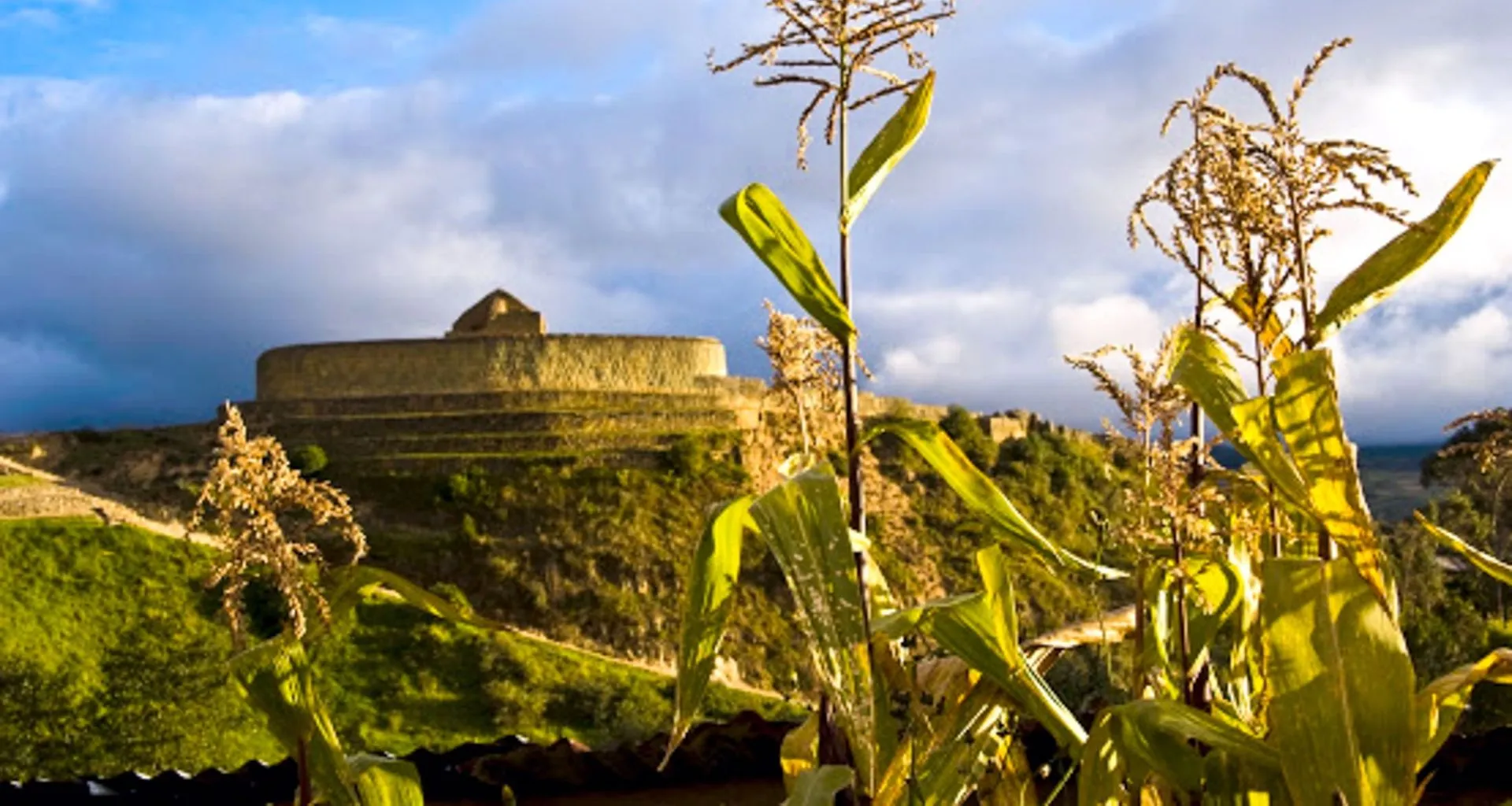 Corn in foreground and building in Ingapirca, Peru
