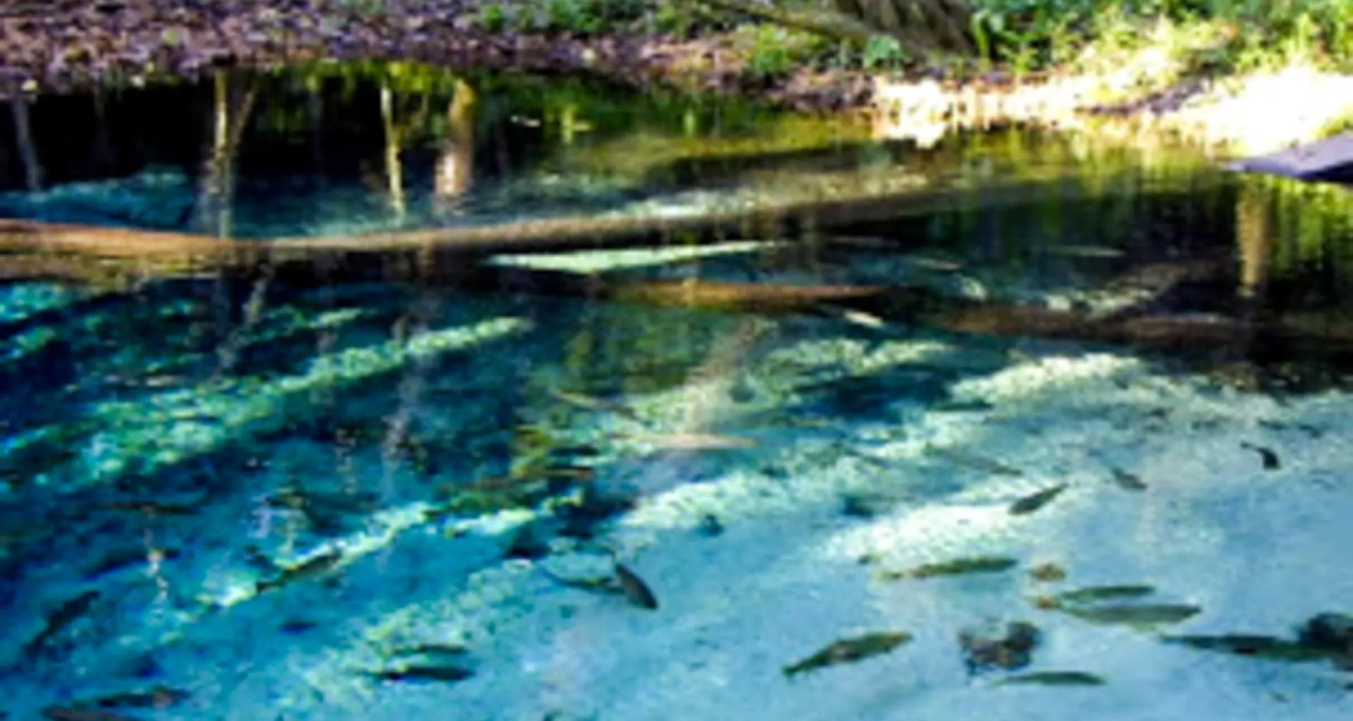 Lagoa Azul in Brazil