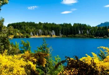 Patagonia lake surrounded by evergreens