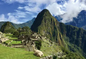 llama resting on Machu Picchu mountain