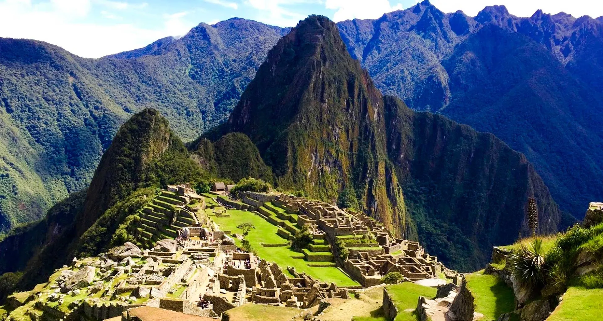 Top of Machu Picchu in midday sun