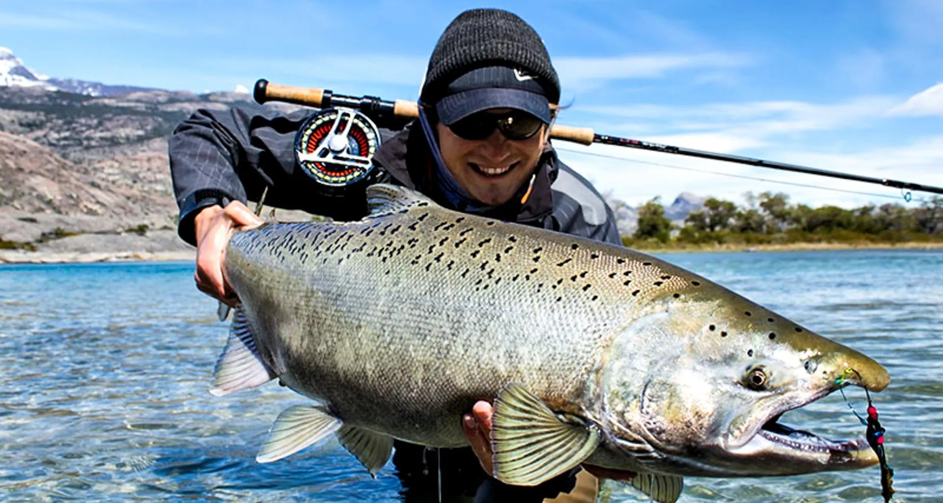 Man holds large gray fish