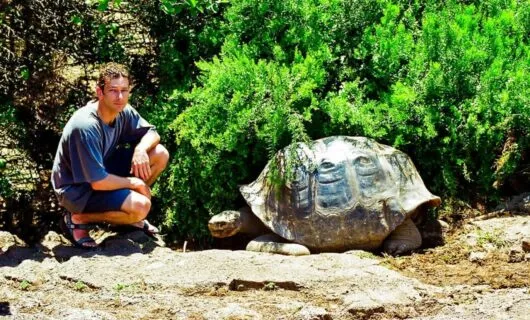 Man kneels next to giant tortoise