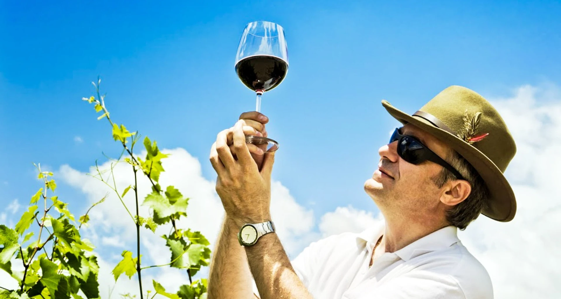 Man holds up wine glass by base