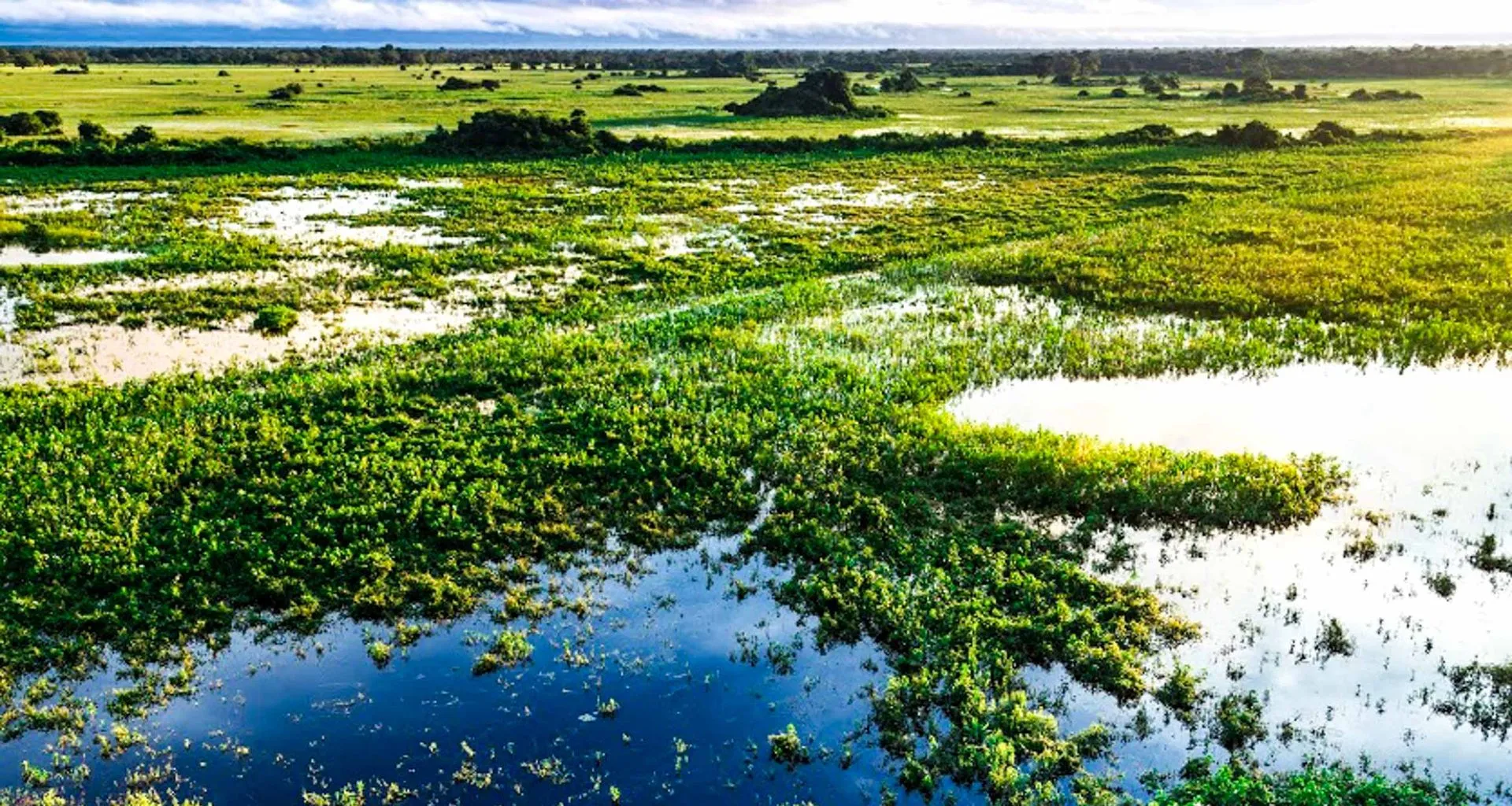Aerial view of Pantanal in Brazil