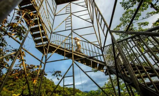 Person climbs large outdoor staircase at Mashpi Lodge