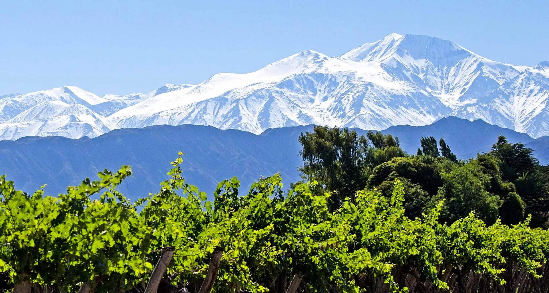 View of mountains across Mendoza vineyard