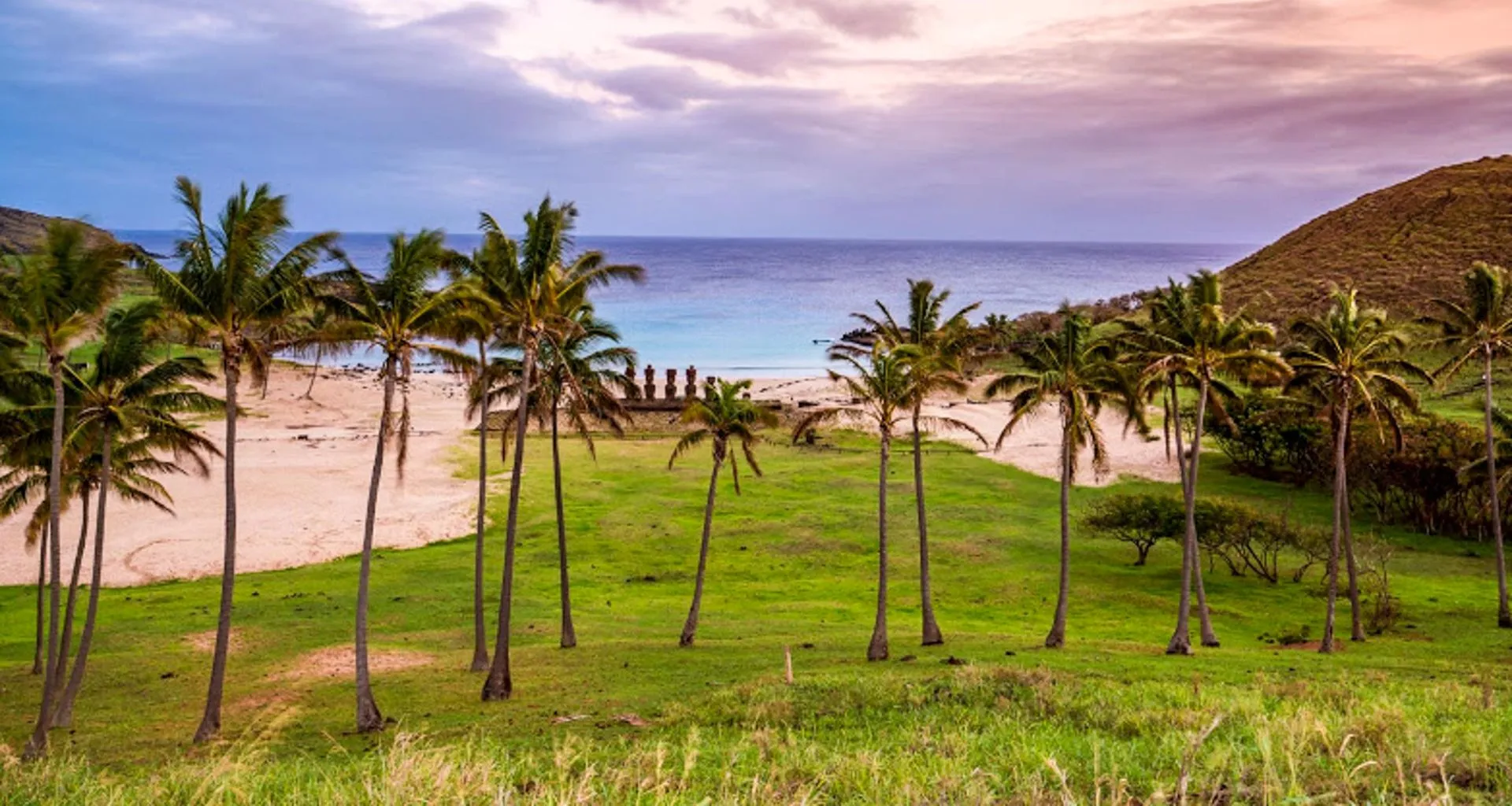 View of beach past palm trees