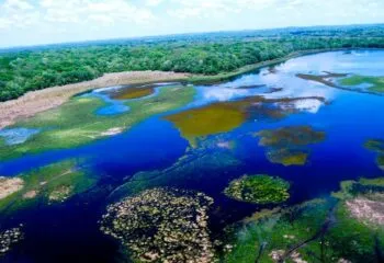 Aerial view of Pantanal Wetlands