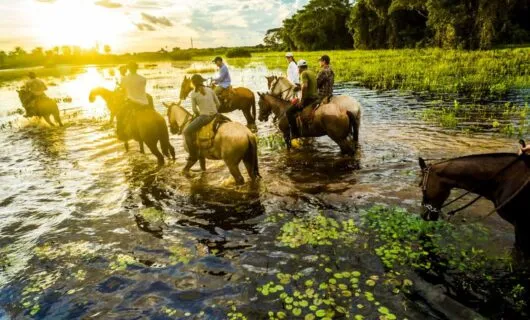 Travelers ride horseback on a tour the Pantanal wetlands