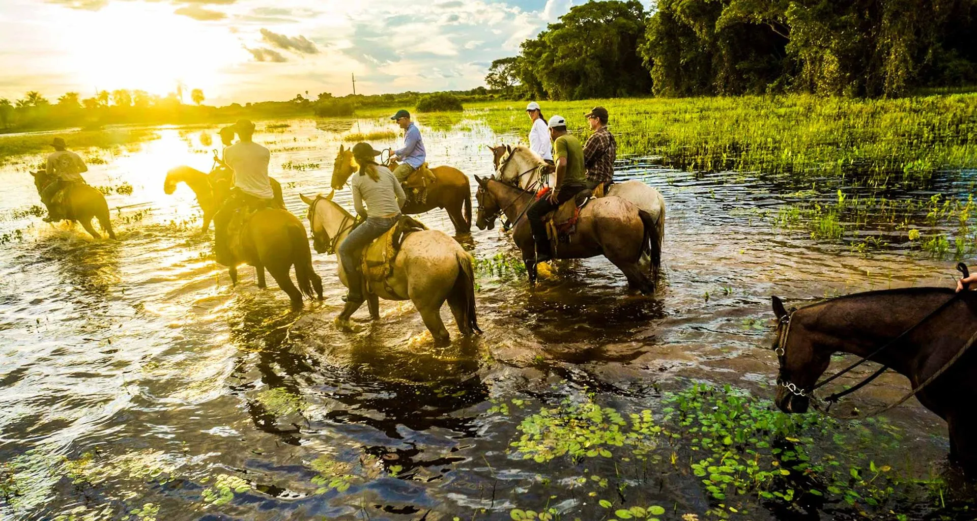 Travelers ride horses through Pantanal
