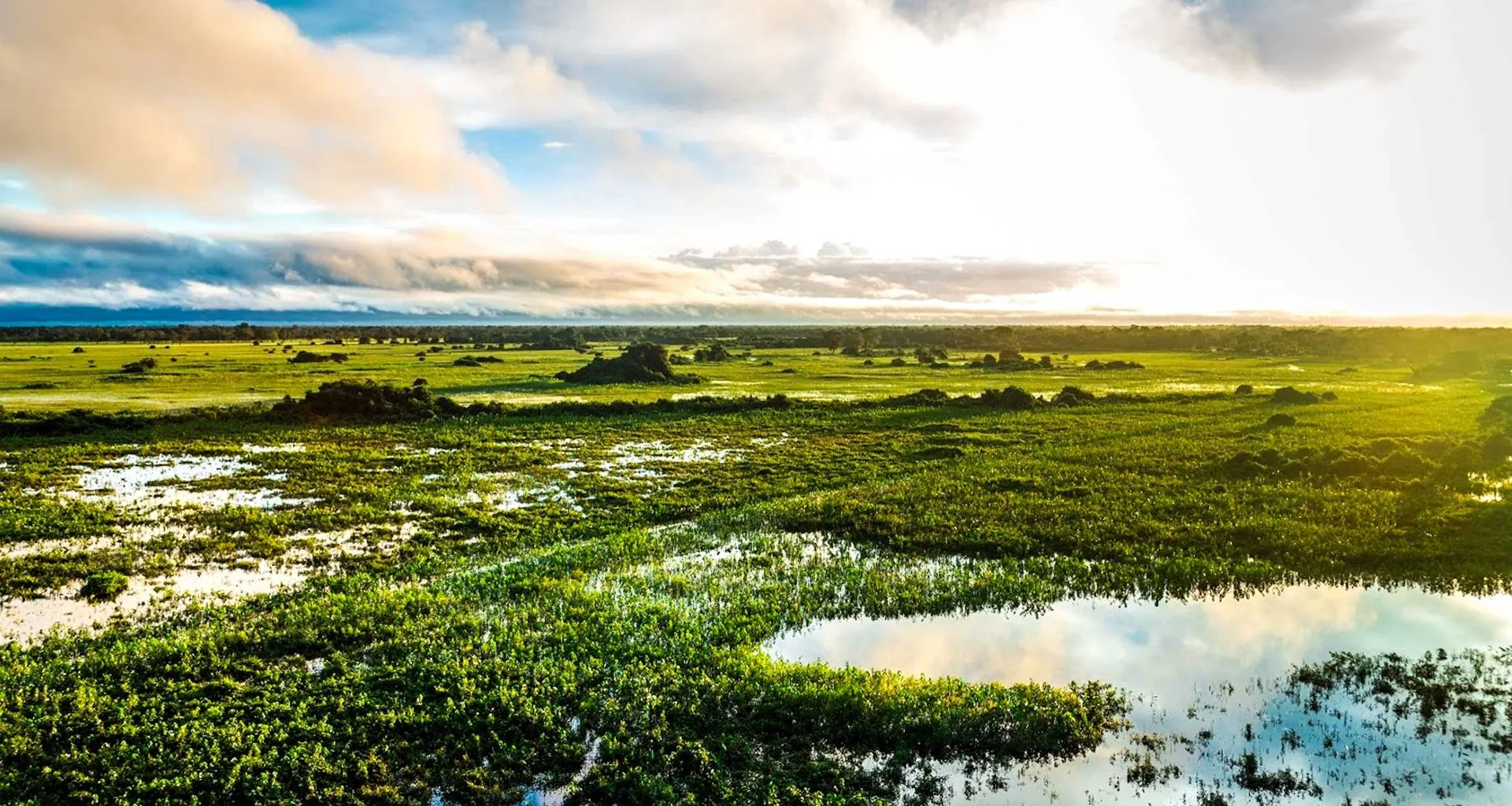 View across wetlands of Pantanal, Brazil